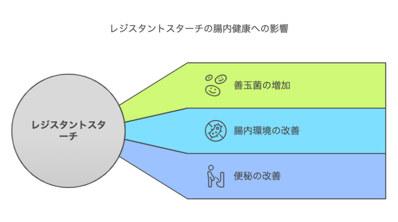 レジスタントスターチの腸内環境への影響の図